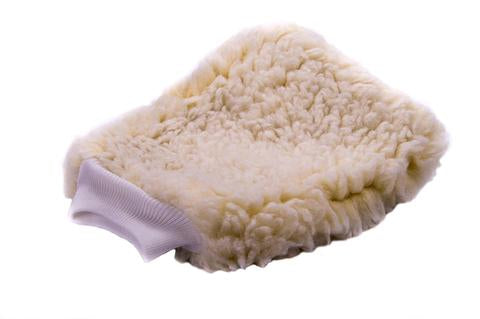 Wash Mitt